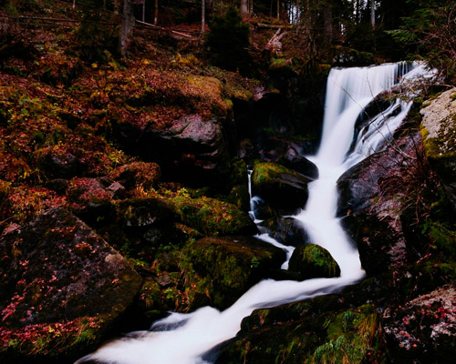 在线接收云短信验证码